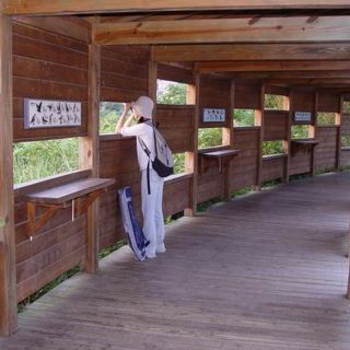 關渡自然公園新建工程(建築工程)