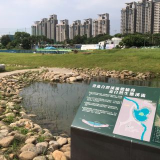 碧潭堰改善暨周邊環境營造