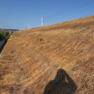 參加114年度臺東縣公共工程鋪設稻草蓆績優評鑑