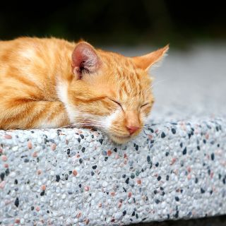 taiwan-g7742011df_1920