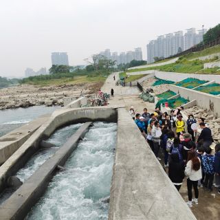 【安倉騎車趣 -碧潭堰】